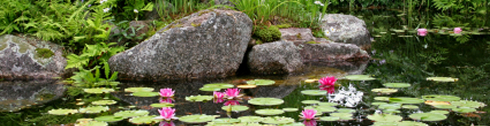 Teich anlegen